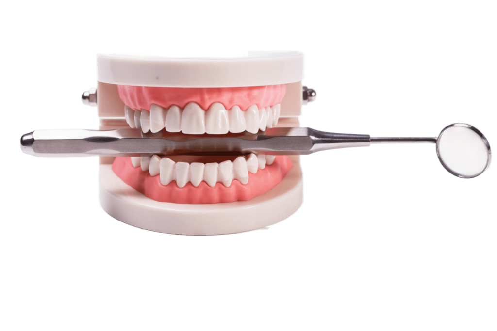 white teeth transformed